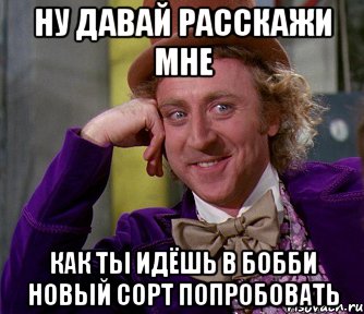 Ну давай расскажи мне как ты идёшь в Бобби новый сорт попробовать, Мем мое лицо