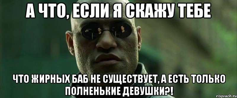 А что, если я скажу тебе что жирных баб не существует, а есть только полненькие девушки?!