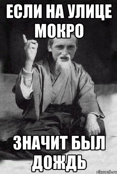 если на улице мокро значит был дождь, Мем Мудрий паца