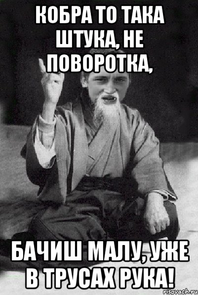 Кобра то така штука, не поворотка, бачиш малу, уже в трусах рука!, Мем Мудрий паца