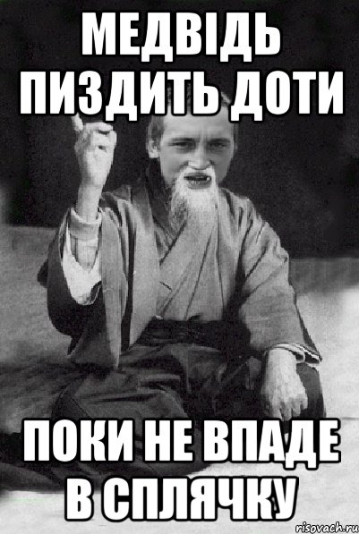 медвідь пиздить доти поки не впаде в сплячку, Мем Мудрий паца