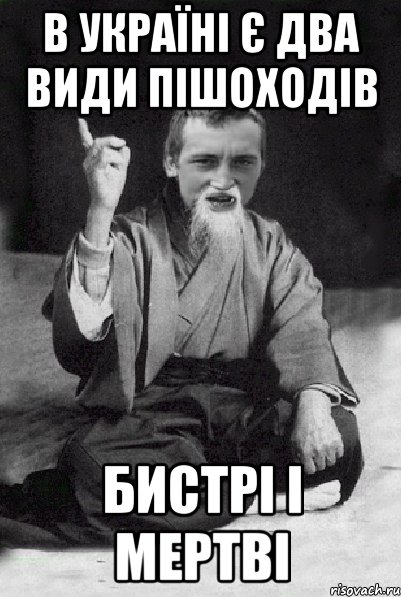 В Україні є два види пішоходів бистрі і мертві, Мем Мудрий паца