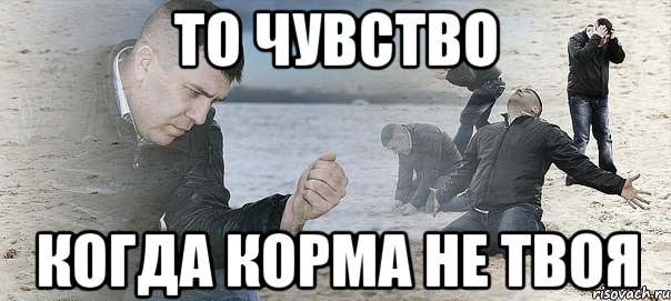 То чувство Когда корма не твоя, Мем Мужик сыпет песок на пляже