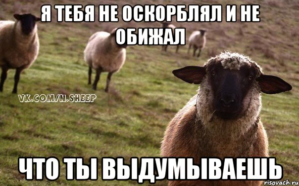 Я тебя не оскорблял и не обижал что ты выдумываешь, Мем  Наивная Овца
