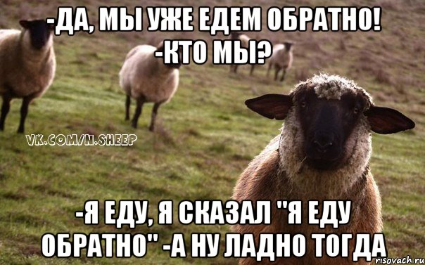 -Да, мы уже едем обратно! -Кто мы? -Я еду, я сказал "Я еду обратно" -А ну ладно тогда, Мем  Наивная Овца