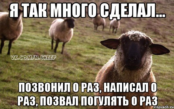 я так много сделал... позвонил 0 раз, написал 0 раз, позвал погулять 0 раз, Мем  Наивная Овца