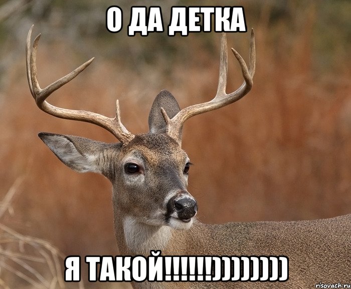 О да детка Я такой!!!!!!)))))))), Мем  Наивный Олень v2