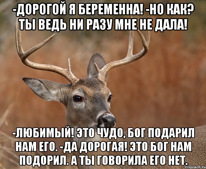 -Дорогой я беременна! -Но как? Ты ведь ни разу мне не дала! -Любимый! Это чудо, Бог подарил нам его. -Да дорогая! Это Бог нам подорил. А ты говорила его нет., Мем  Наивный Олень v2