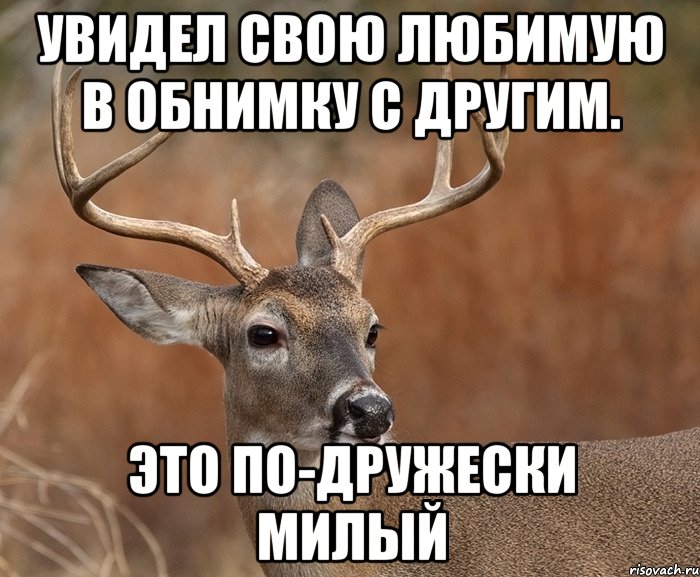 Увидел свою любимую в обнимку с другим. Это по-дружески милый, Мем  Наивный Олень v2