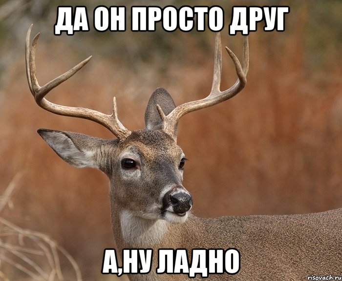 Да он просто друг А,ну ладно, Мем  Наивный Олень v2