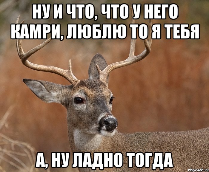 Ну и что, что у него камри, люблю то я тебя А, ну ладно тогда, Мем  Наивный Олень v2