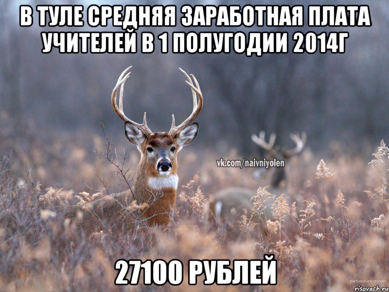 В туле средняя заработная плата учителей в 1 полугодии 2014г 27100 рублей, Мем   Наивный олень