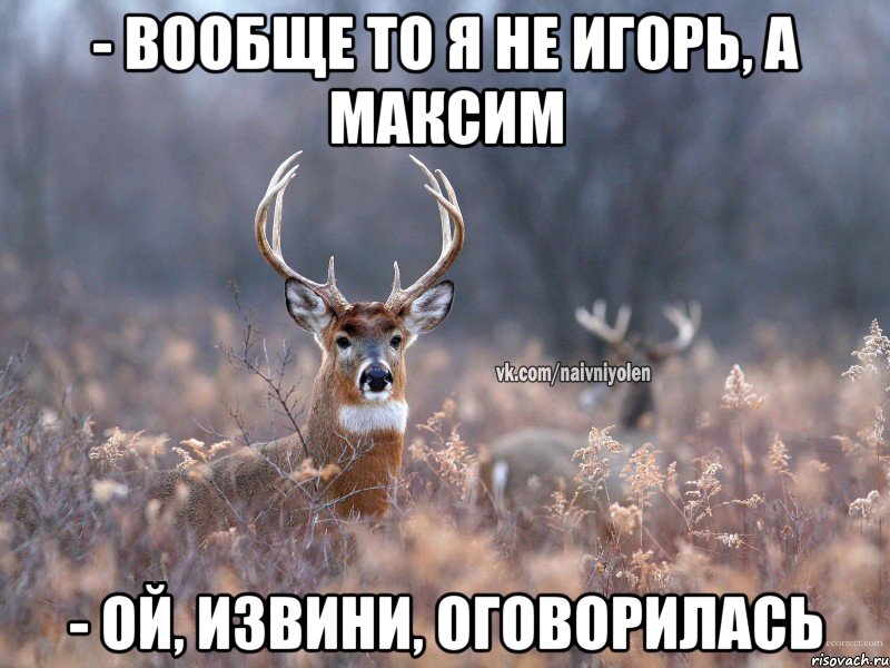 - вообще то я не игорь, а максим - ой, извини, оговорилась, Мем   Наивный олень