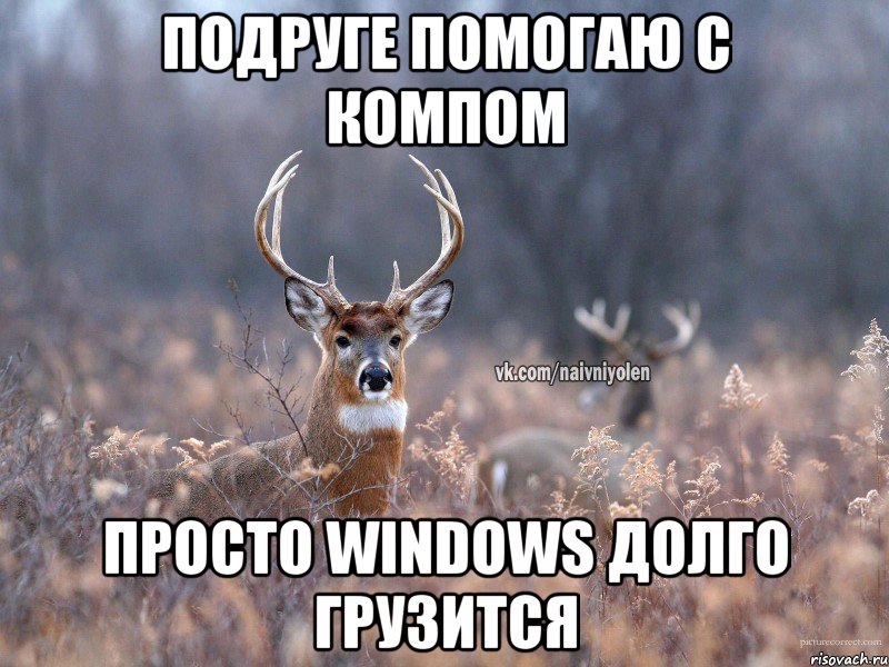 Подруге помогаю с компом Просто windows долго грузится, Мем   Наивный олень