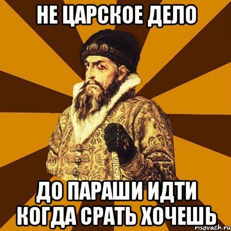 не царское дело до параши идти когда срать хочешь, Мем Не царское это дело