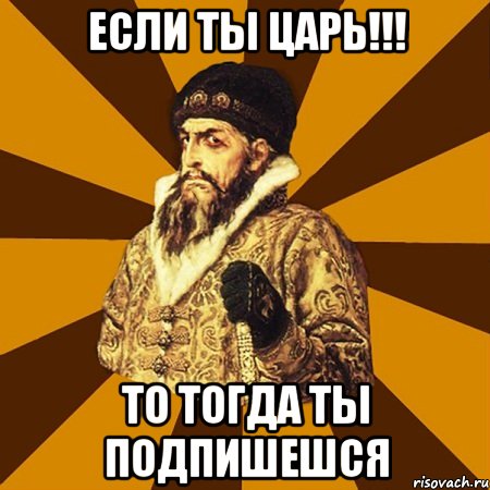 ЕСЛИ ТЫ ЦАРЬ!!! ТО ТОГДА ТЫ ПОДПИШЕШСЯ, Мем Не царское это дело