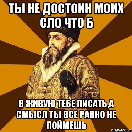 Ты не достоин моих сло что б в живую тебе писать,а смысл ты все равно не поймешь, Мем Не царское это дело