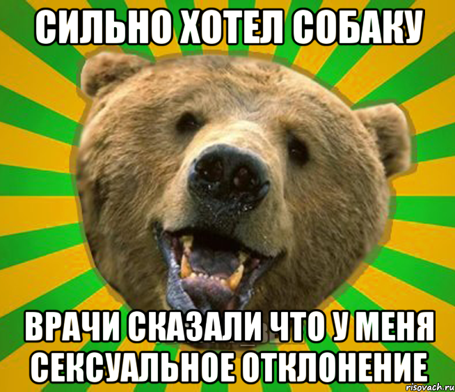 СИЛЬНО ХОТЕЛ СОБАКУ ВРАЧИ СКАЗАЛИ ЧТО У МЕНЯ СЕКСУАЛЬНОЕ ОТКЛОНЕНИЕ, Мем Нелепый медведь