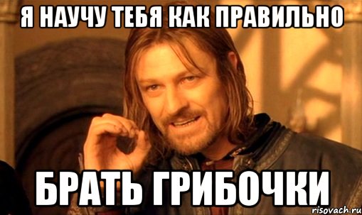 Я научу тебя как правильно Брать грибочки, Мем Нельзя просто так взять и (Боромир мем)