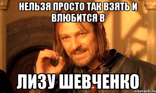 Нельзя просто так взять и влюбится в Лизу Шевченко, Мем Нельзя просто так взять и (Боромир мем)