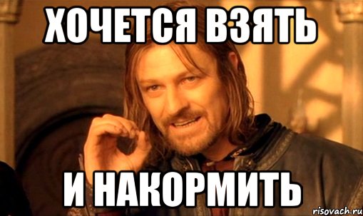 Хочется взять и накормить, Мем Нельзя просто так взять и (Боромир мем)