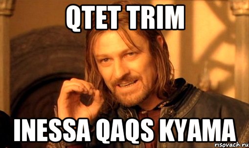 qtet trim inessa qaqs kyama, Мем Нельзя просто так взять и (Боромир мем)