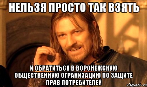 нельзя просто так взять и обратиться в Воронежскую общественную огранизацию по защите прав потребителей, Мем Нельзя просто так взять и (Боромир мем)