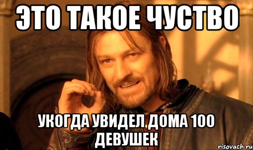 это такое чуство укогда увидел дома 100 девушек, Мем Нельзя просто так взять и (Боромир мем)