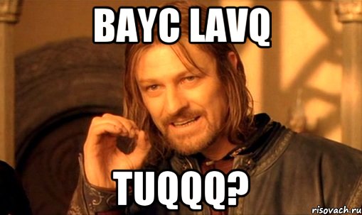 bayc lavq tuqqq?, Мем Нельзя просто так взять и (Боромир мем)