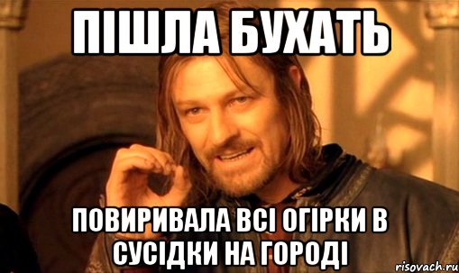 пішла бухать повиривала всі огірки в сусідки на городі, Мем Нельзя просто так взять и (Боромир мем)