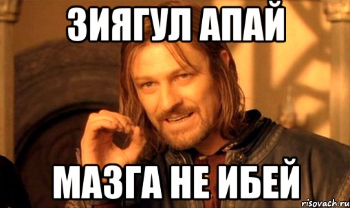 Зиягул апай Мазга не ибей, Мем Нельзя просто так взять и (Боромир мем)