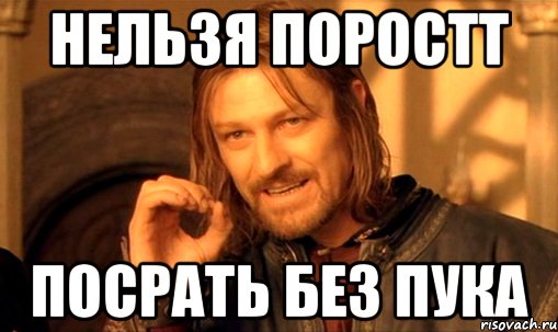 нельзя поростт посрать без пука, Мем Нельзя просто так взять и (Боромир мем)