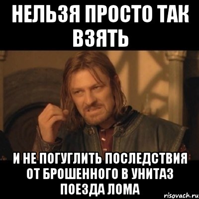 Нельзя просто так взять И не погуглить последствия от брошенного в унитаз поезда лома, Мем Нельзя просто взять