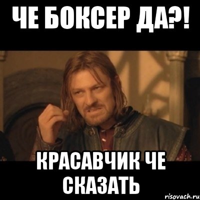 Че Боксер да?! Красавчик че сказать