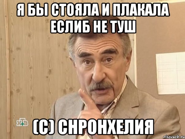 Я бы стояла и плакала еслиб не туш (c) Снронхелия, Мем Каневский (Но это уже совсем другая история)