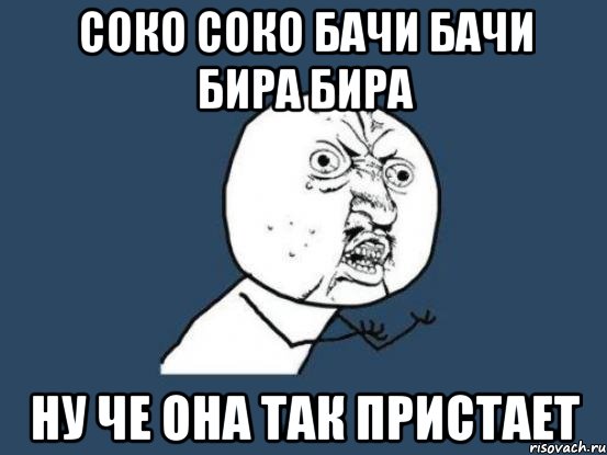 соко соко бачи бачи бира бира ну че она так пристает, Мем Ну почему