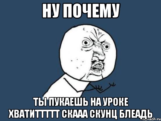 ну почему ты пукаешь на уроке хватиттттт скааа скунц блеадь, Мем Ну почему