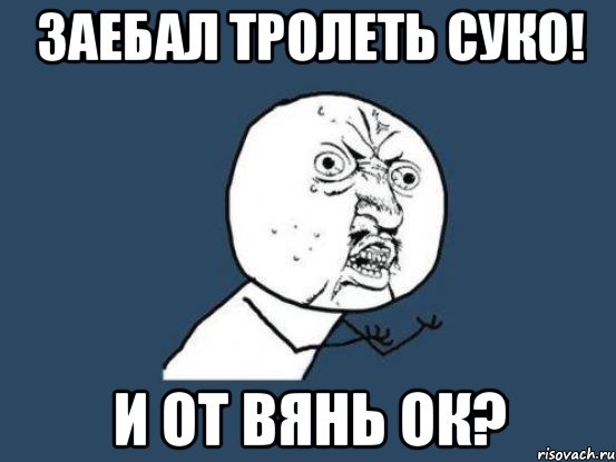 ЗАЕБАЛ ТРОЛЕТЬ СУКО! И ОТ ВЯНЬ ОК?, Мем Ну почему