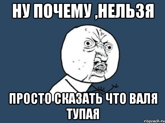 ну почему ,нельзя просто сказать что Валя тупая, Мем Ну почему