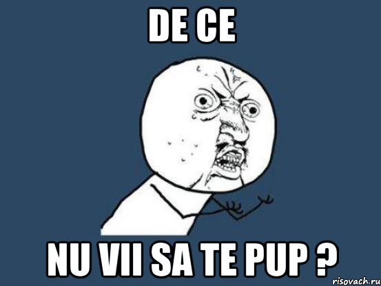 de ce nu vii sa te pup ?, Мем Ну почему