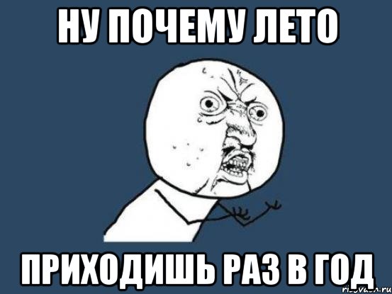 Ну почему лето Приходишь раз в год, Мем Ну почему