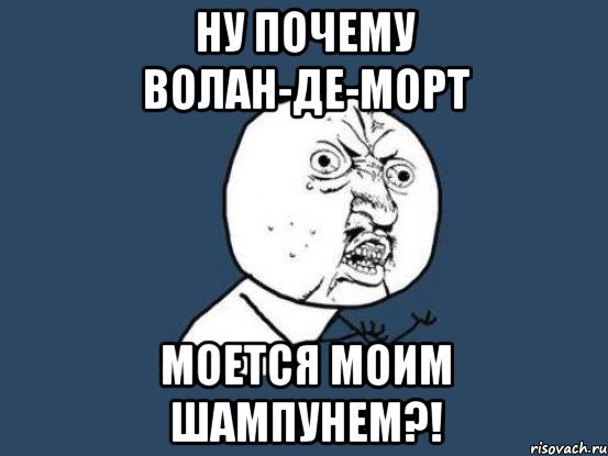 Ну почему Волан-де-Морт Моется моим шампунем?!, Мем Ну почему