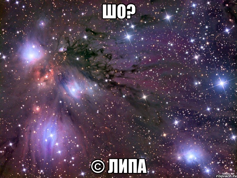 шо? © Липа, Мем Космос