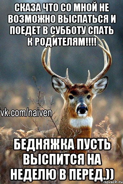 Сказа что со мной не возможно выспаться и поедет в субботу спать к родителям!!!! Бедняжка пусть выспится на неделю в перед.)), Мем   Наивный олень