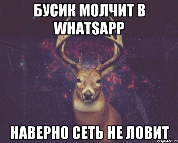 Бусик молчит в whatsapp наверно сеть не ловит, Мем  олень наивный