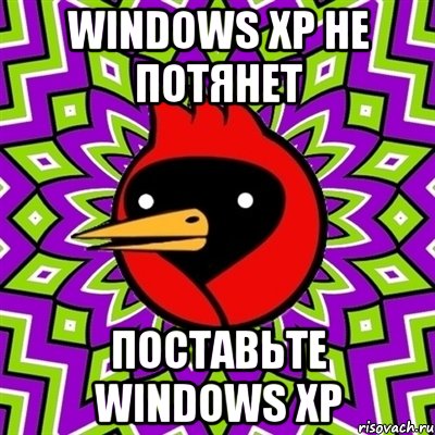 Windows XP не потянет Поставьте Windows XP, Мем Омская птица