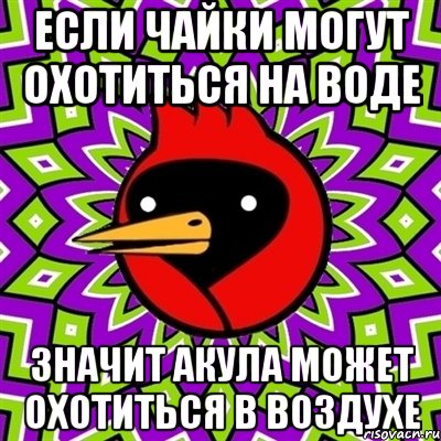 если чайки могут охотиться на воде значит акула может охотиться в воздухе, Мем Омская птица