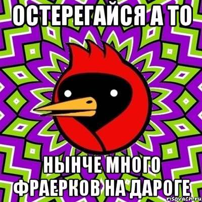 остерегайся а то нынче много фраерков на дароге, Мем Омская птица