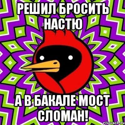 Решил бросить Настю А в Бакале мост сломан!, Мем Омская птица