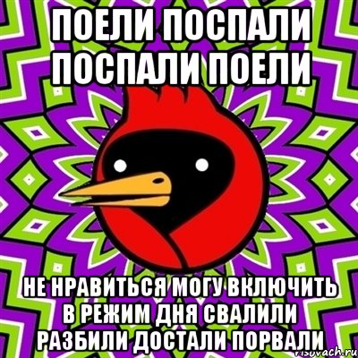 поели поспали поспали поели не нравиться могу включить в режим дня свалили разбили достали порвали, Мем Омская птица